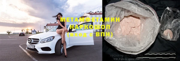 хмурый Аркадак