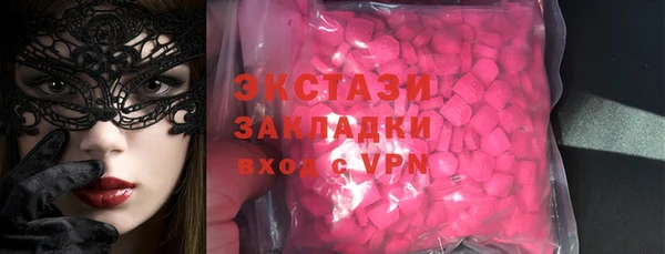 хмурый Аркадак