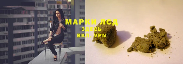 хмурый Аркадак