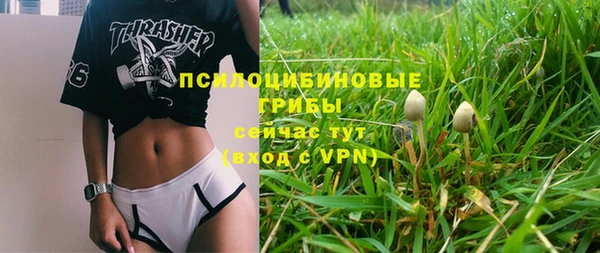 мескалин Арсеньев