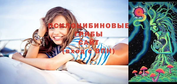 хмурый Аркадак
