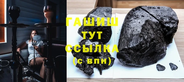 хмурый Аркадак