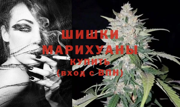 хмурый Аркадак